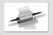 Semiconductor Optical Amplifiers