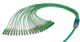 Multiple Fibre