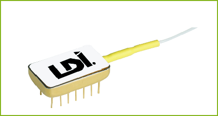 Pin Amp Pin FET Detectors